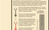 Codex_guide_2_03