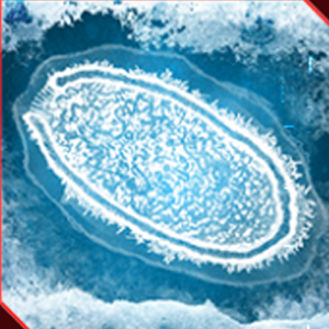 Plague Inc. - Познавательная рецензия на игру Plague Inc: Evolved